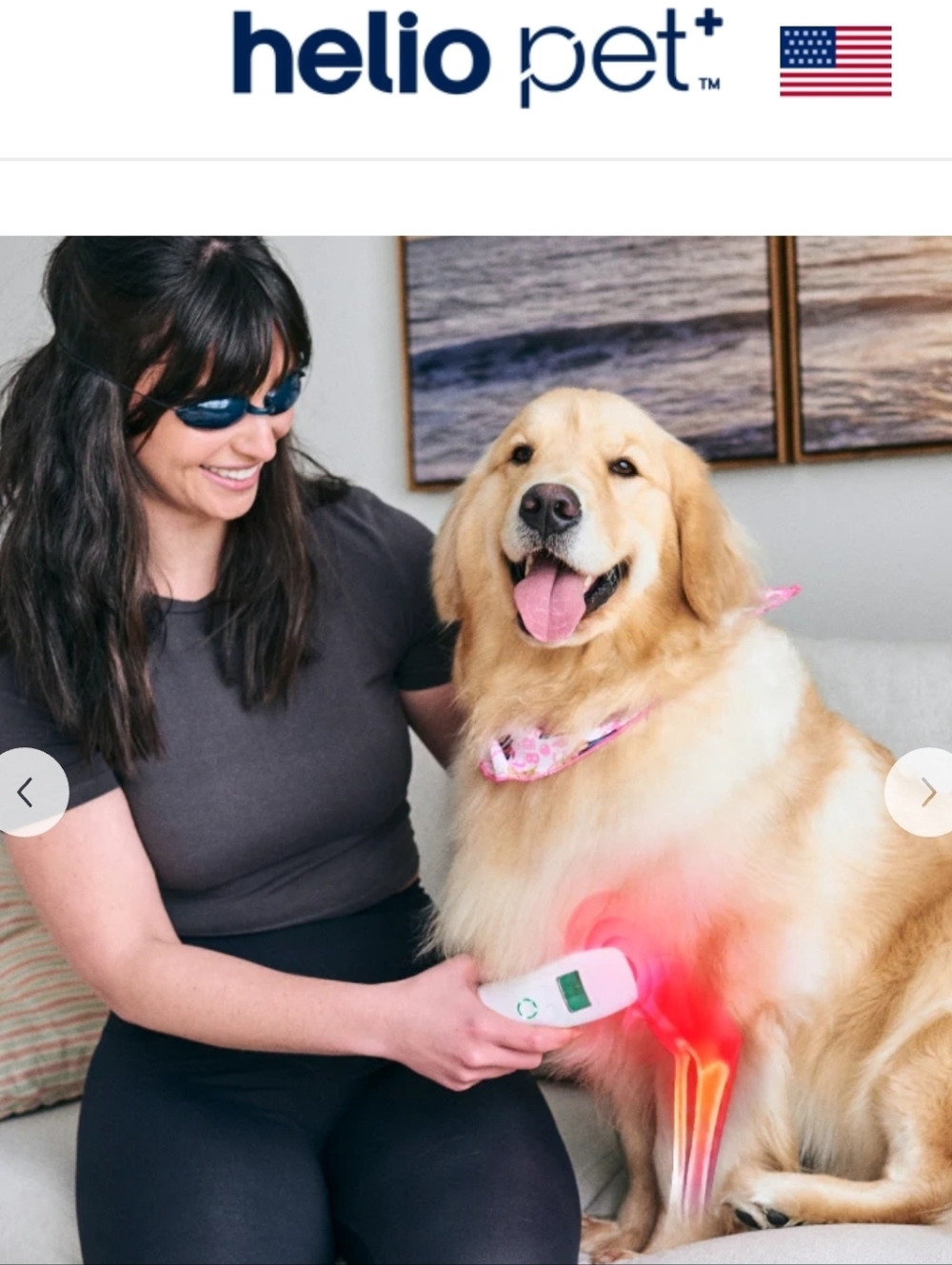Helio Pet Handheld Laser Therapy Device For Dogs